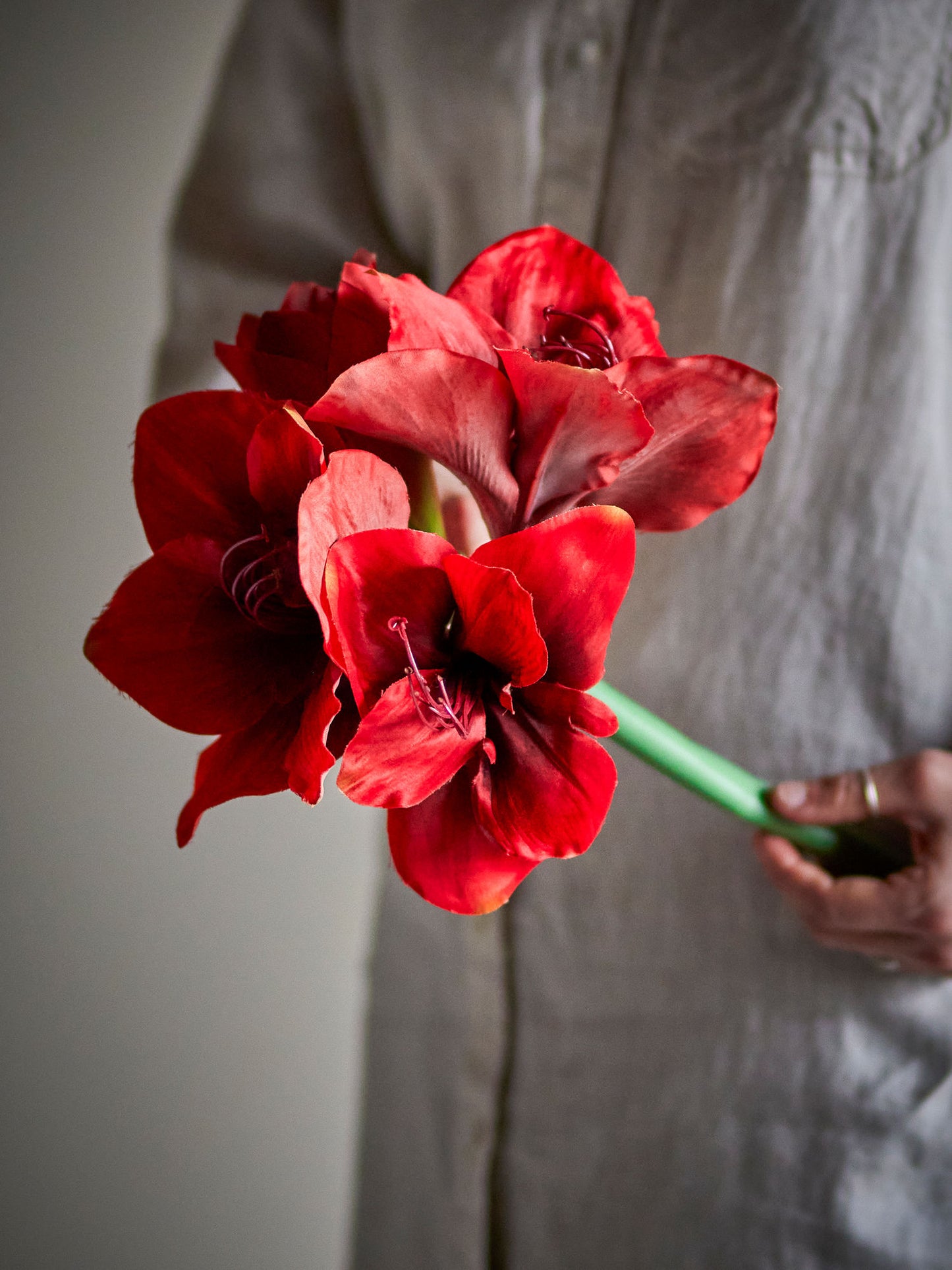 Bloomingville Amaryllis Stiel, Rot, Künstliche Blumen