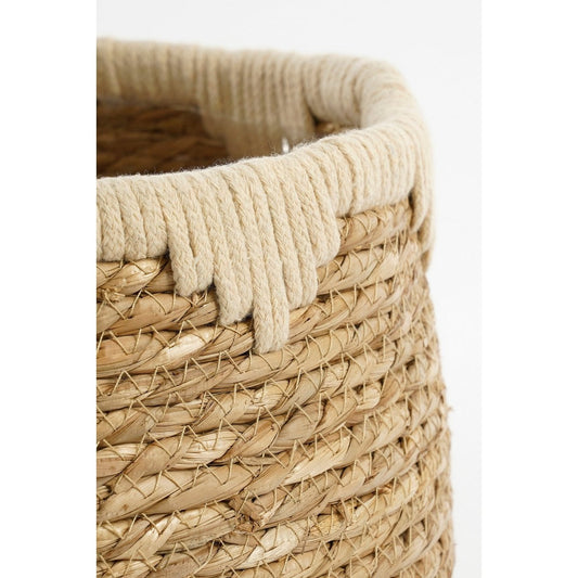 Pflanzenmand-Set Jorck Beige