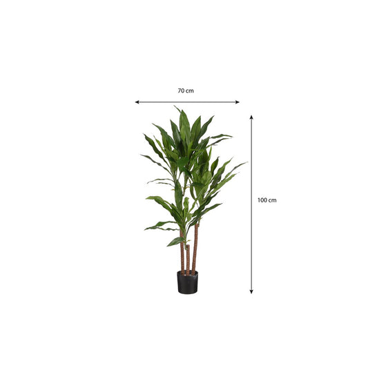 Künstliche Pflanze Dracaena Green