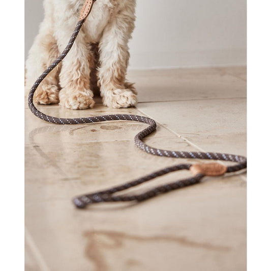 OYOY Zoo Perry Hundeleine – S/M, 160cm