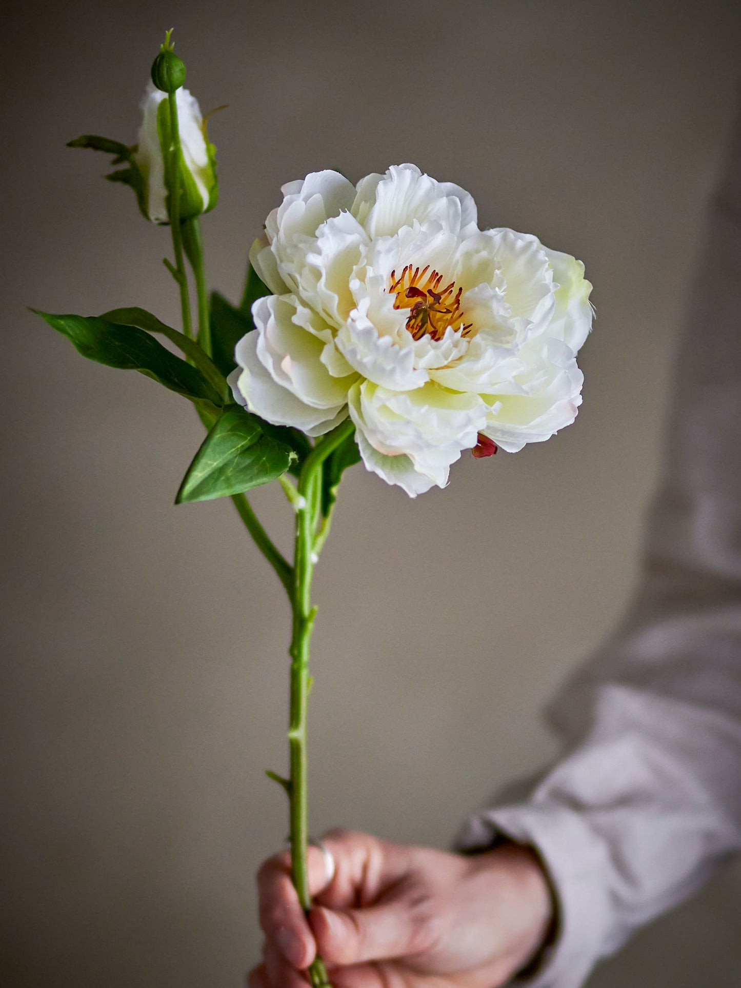 Bloomingville Peony Stiel, Weiß, Künstliche Blumen
