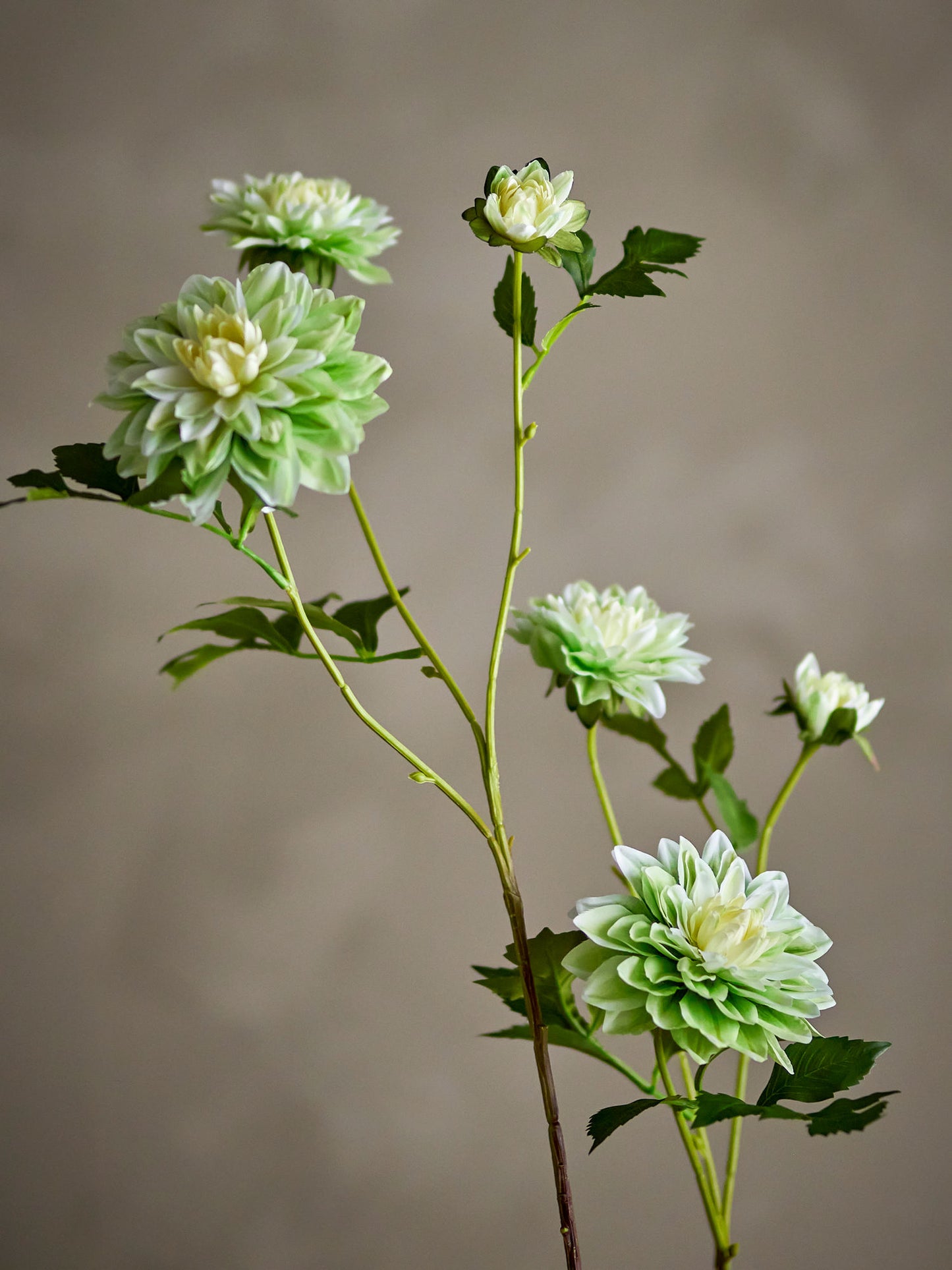 Bloomingville Chrysantemum Stiel, Weiß, Künstliche Blumen