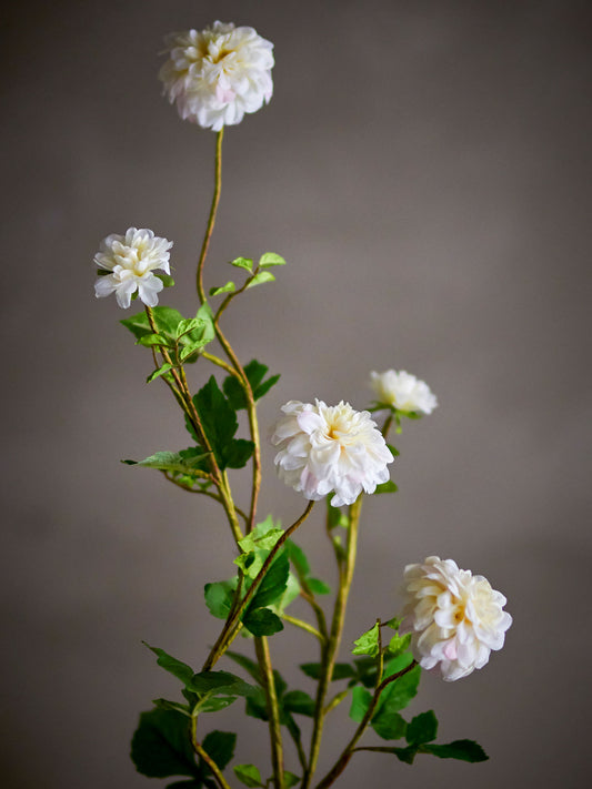Bloomingville Chrysantemum Stiel, Weiß, Künstliche Blumen