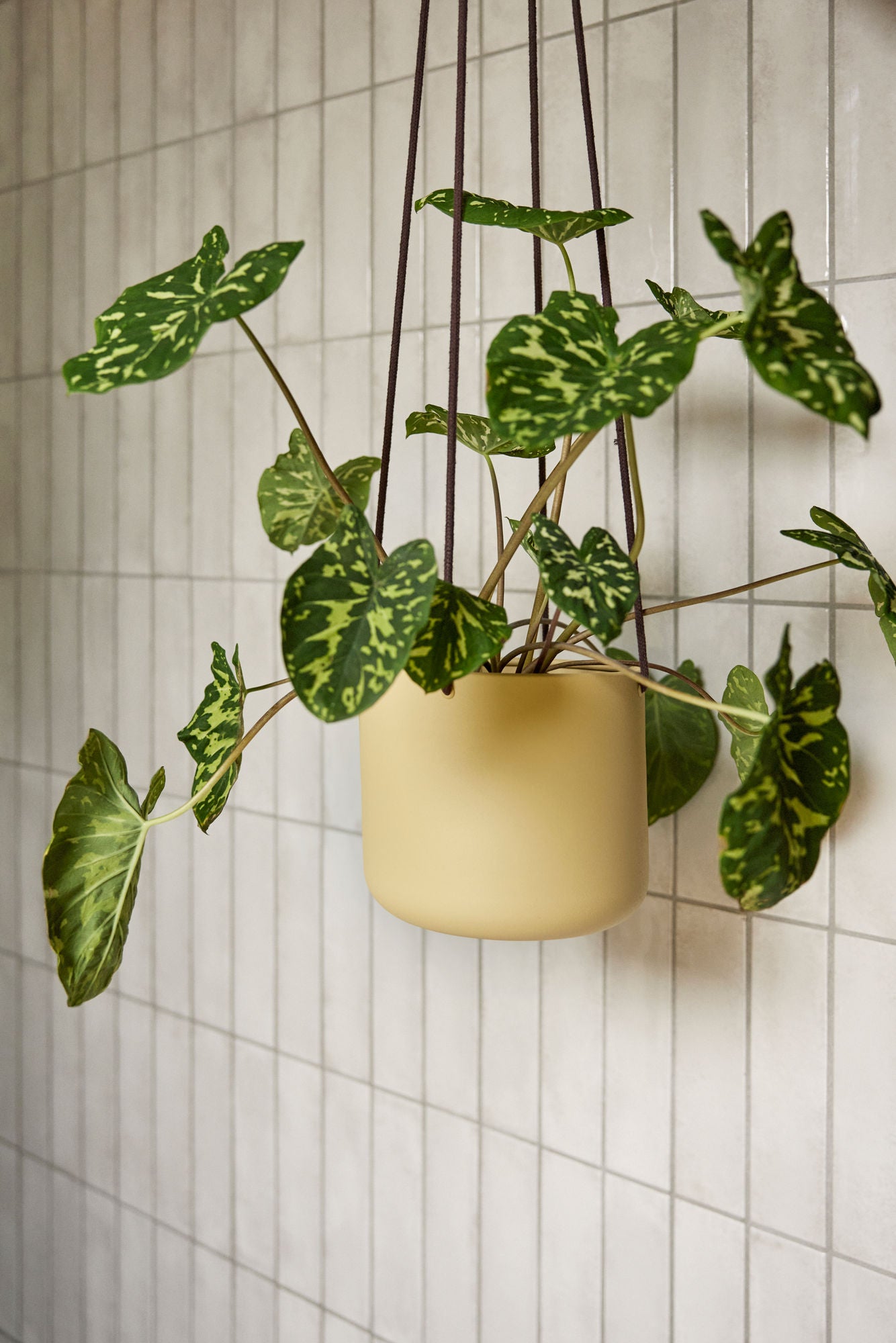 Hübsch Bloom Hängetöpfe Large Khaki (3er Set)