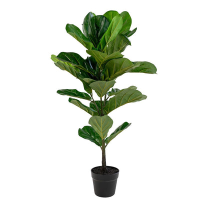 Geigenblattbaum – PE-Kunststoff 36 x 46 x 100 cm