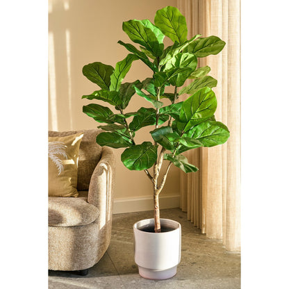 Künstliche Pflanze Ficus Green