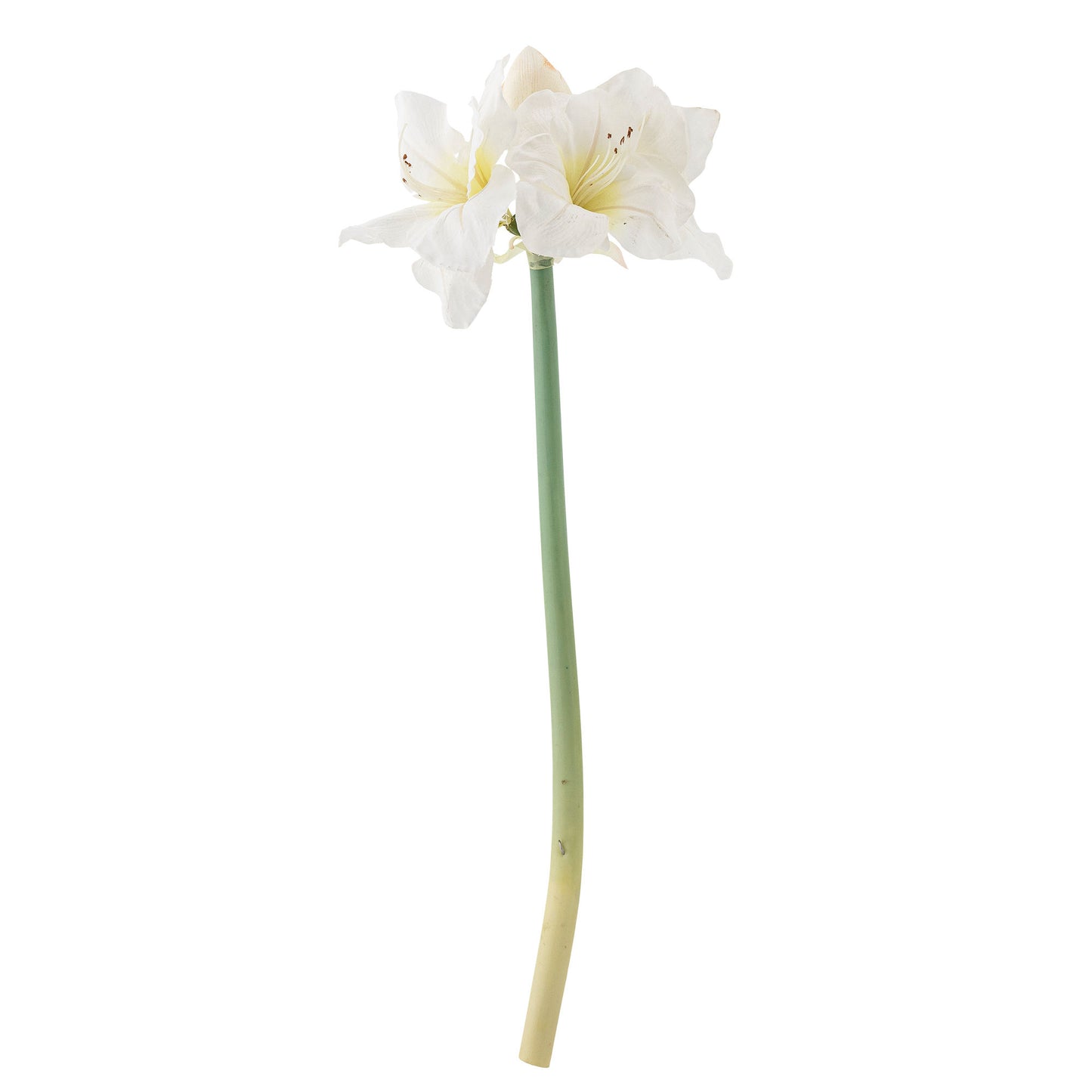 Bloomingville Amaryllis Stiel, Weiß, Künstliche Blumen