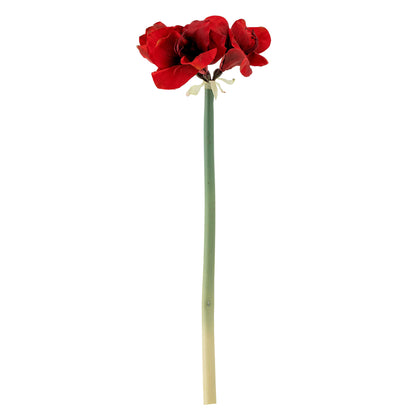 Bloomingville Amaryllis Stiel, Rot, Künstliche Blumen