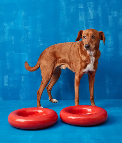HotDog Pets Rosa Keramiknapf für Hunde rot