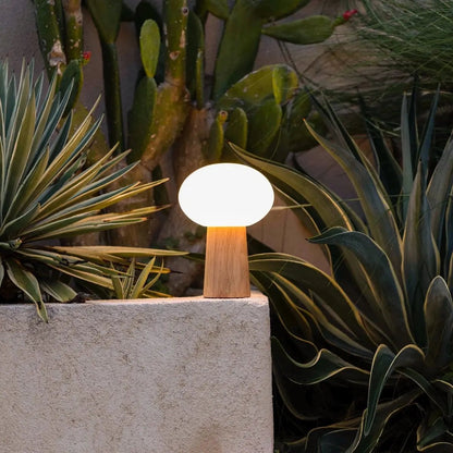 Max Hellbraune kabellose Tischlampe aus Holz | Wiederaufladbar, Glas und nachhaltiges Design
