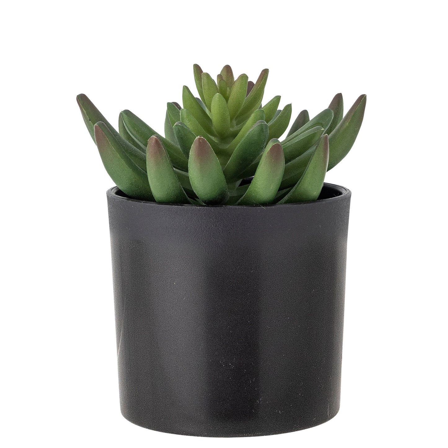 Bloomingville Echeveria Pflanze, Grün, Künstliche Blumen