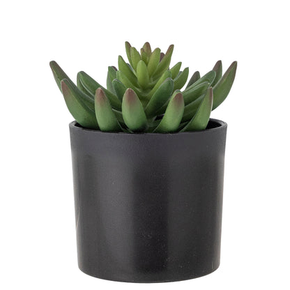 Bloomingville Echeveria Pflanze, Grün, Künstliche Blumen