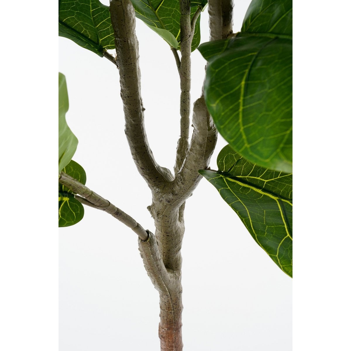 Künstliche Pflanze Ficus Green