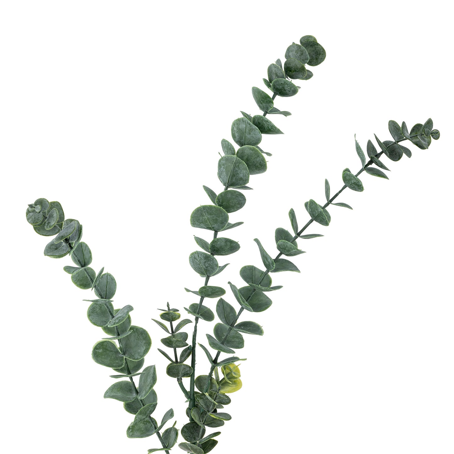 Bloomingville Eucalyptus Stiel, Grün, Künstliche Blumen