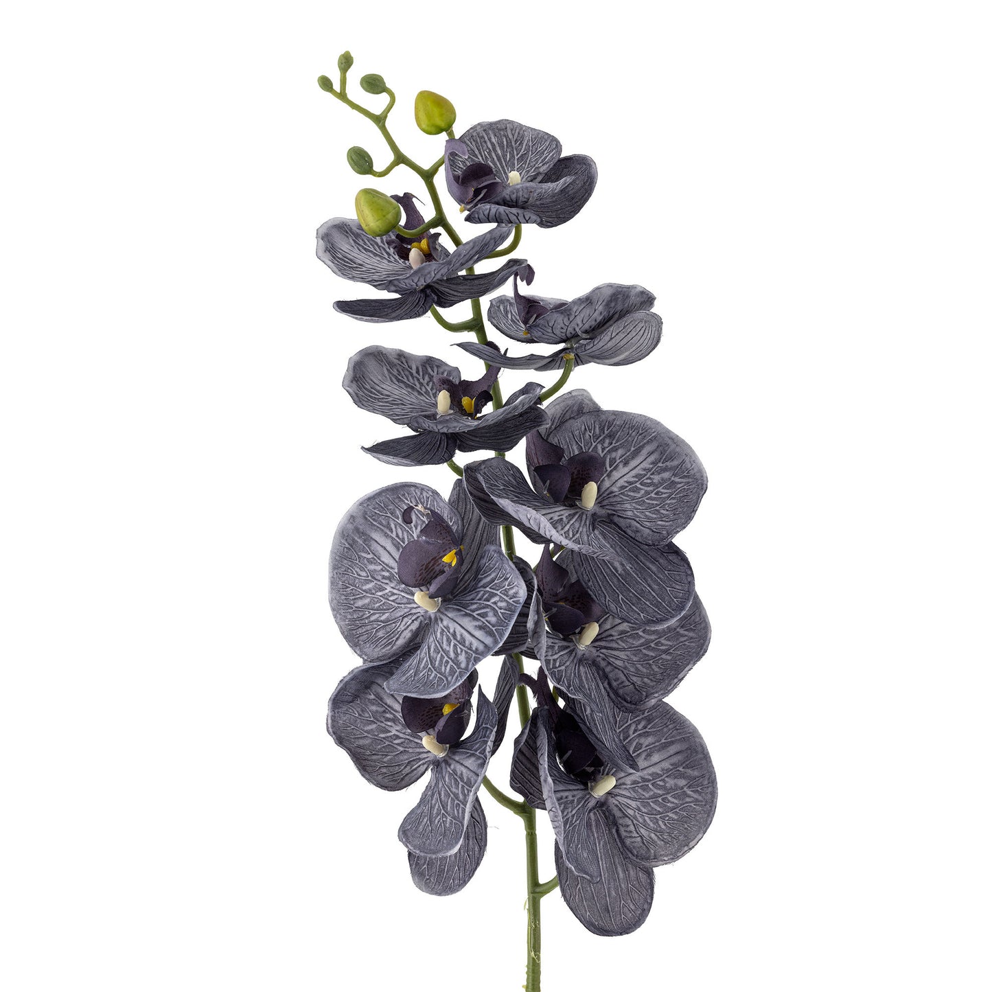 Bloomingville Orchid Stiel, Violett, Künstliche Blumen