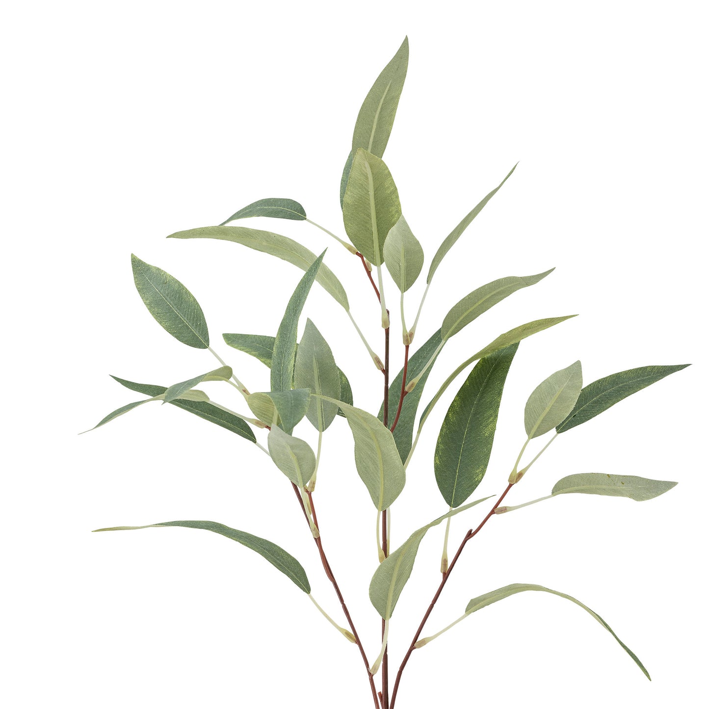 Bloomingville Eucalyptus Stiel, Grün, Künstliche Blumen