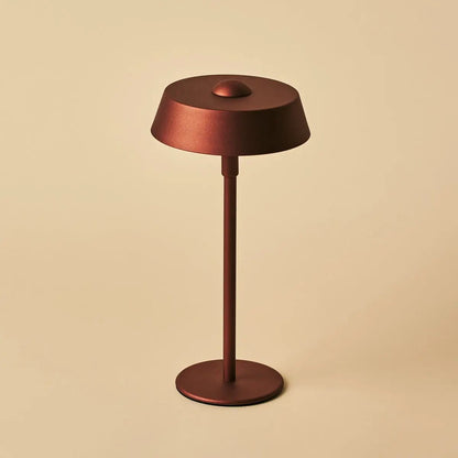 Luca Bronze USB wiederaufladbare Lampe | Minimalistisch, verspielt und dimmbar
