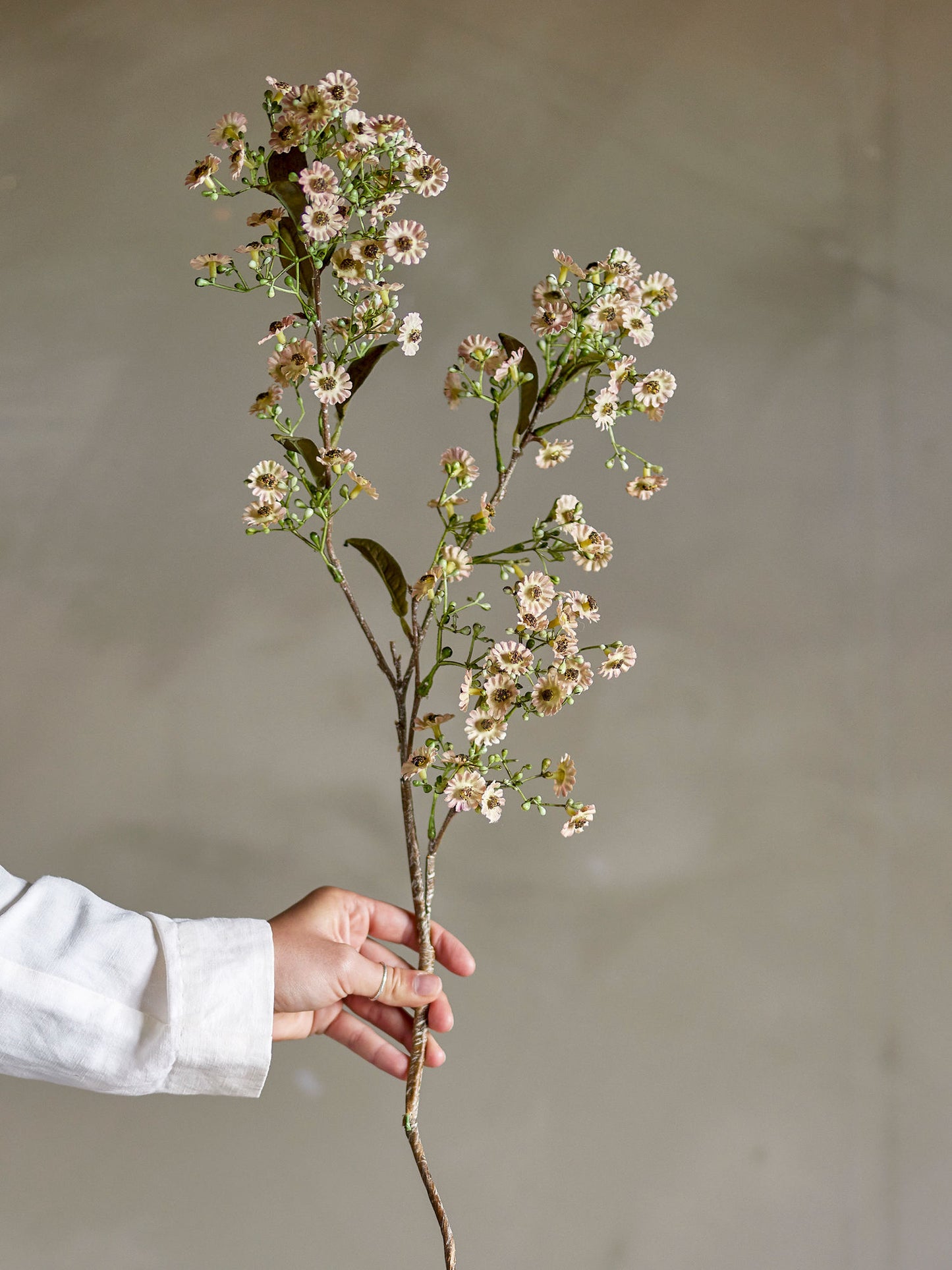 Bloomingville Waxflower Stiel, Weiß, Künstliche Blumen