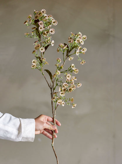 Bloomingville Waxflower Stiel, Weiß, Künstliche Blumen