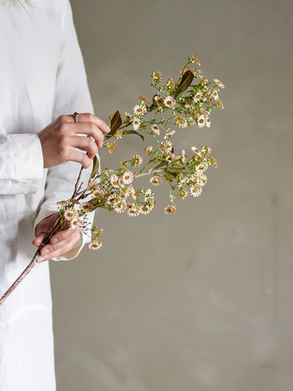Bloomingville Waxflower Stiel, Weiß, Künstliche Blumen