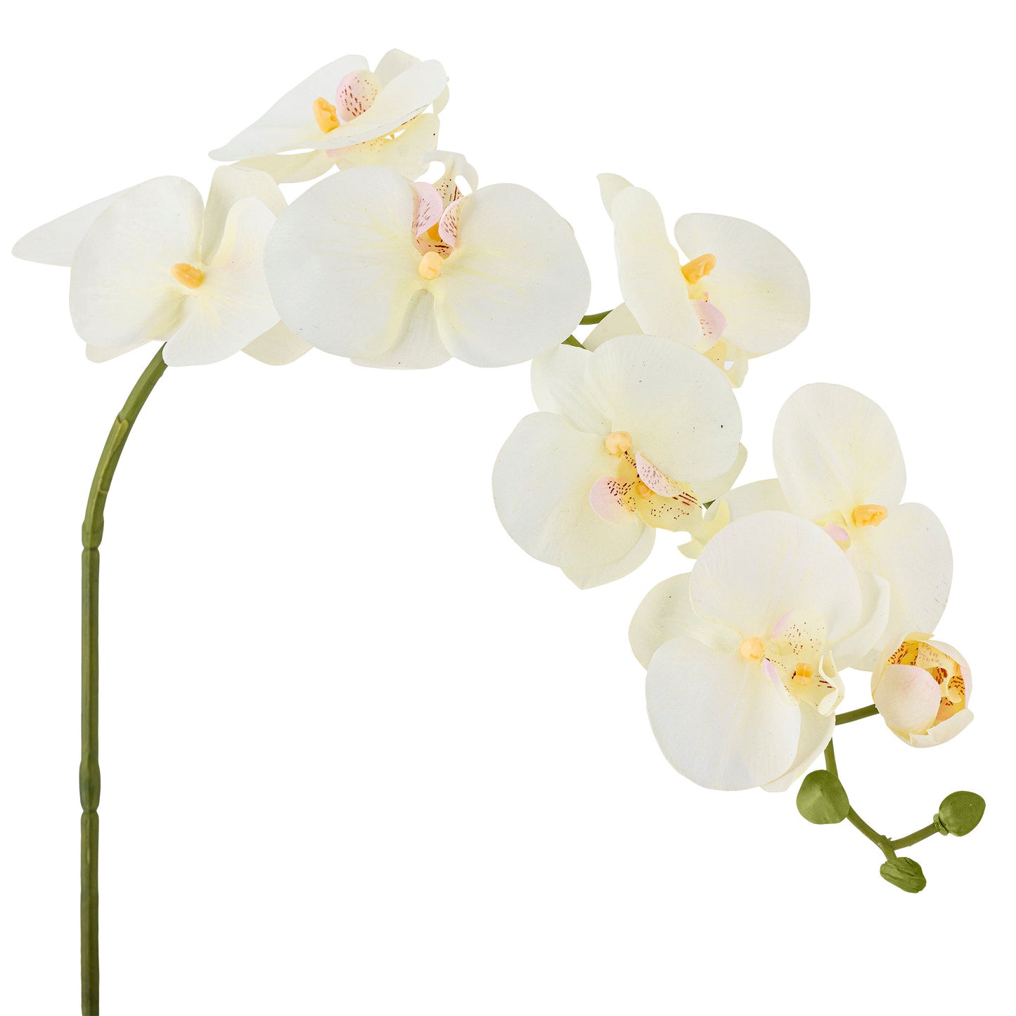 Bloomingville Orchid Stiel, Weiß, Künstliche Blumen