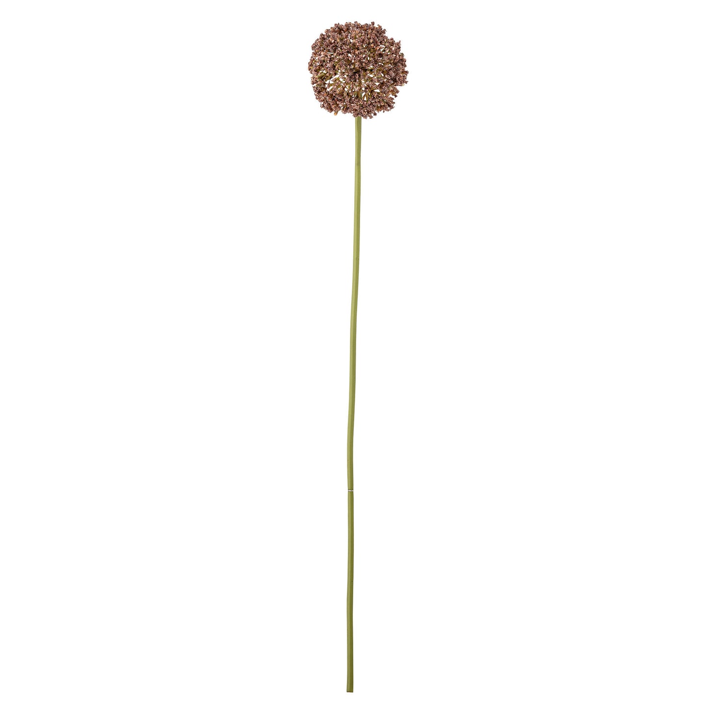 Bloomingville Allium Stiel, Braun, Künstliche Blumen
