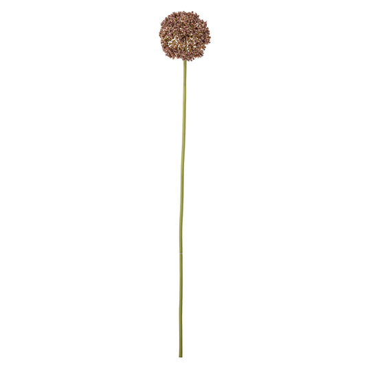 Bloomingville Allium Stiel, Braun, Künstliche Blumen
