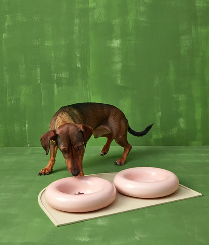 HotDog Pets Rosa Keramiknapf für Hunde