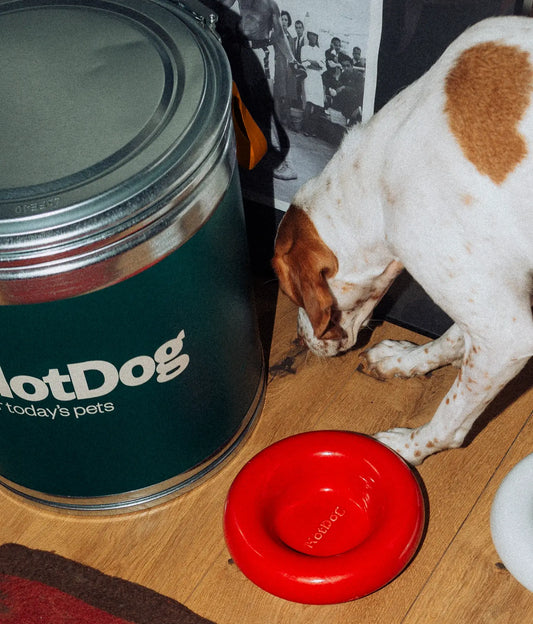 HotDog Pets Rosa Keramiknapf für Hunde rot