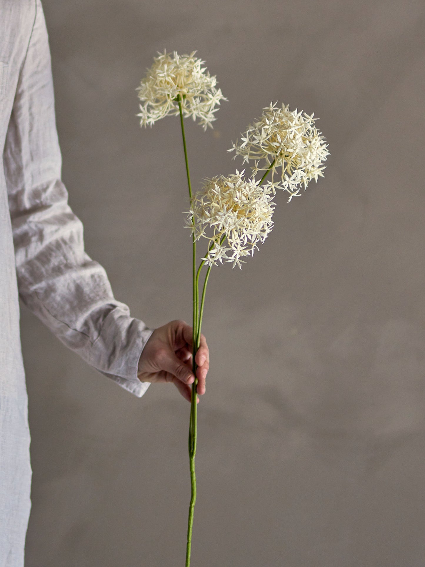 Bloomingville Allium Stiel, Weiß, Künstliche Blumen