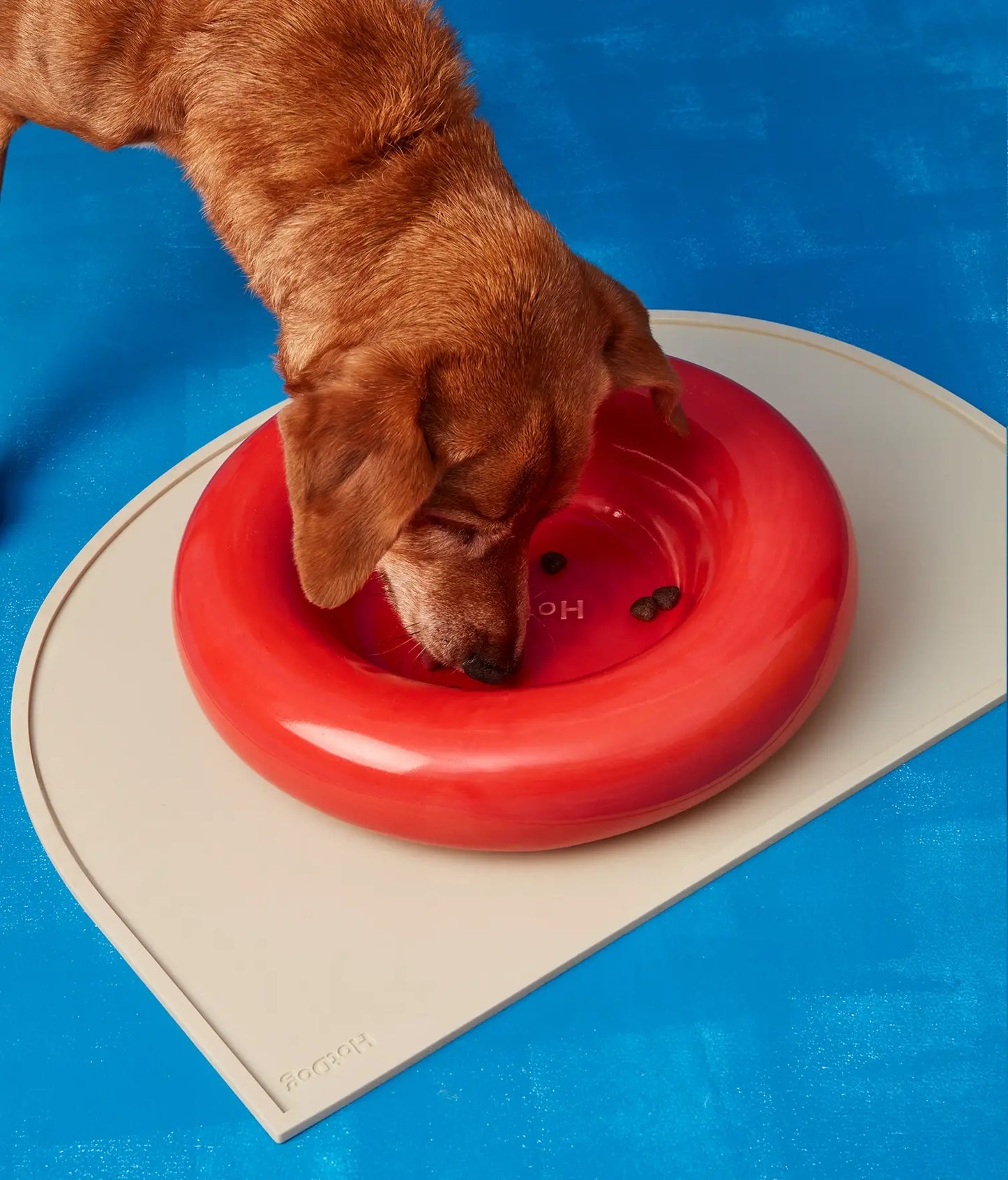 HotDog Pets Rosa Keramiknapf für Hunde rot