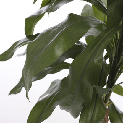 Künstliche Pflanze Dracaena Green