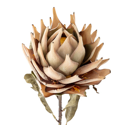 Bloomingville Protea Stiel, Natur, Künstliche Blumen