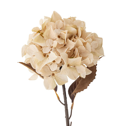 Bloomingville Hydrangea Stiel, Natur, Künstliche Blumen