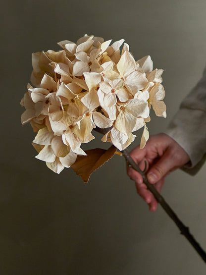 Bloomingville Hydrangea Stiel, Natur, Künstliche Blumen