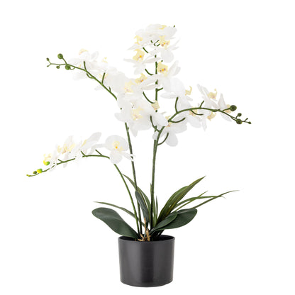 Bloomingville Orchid Pflanze, Weiß, Künstliche Blumen