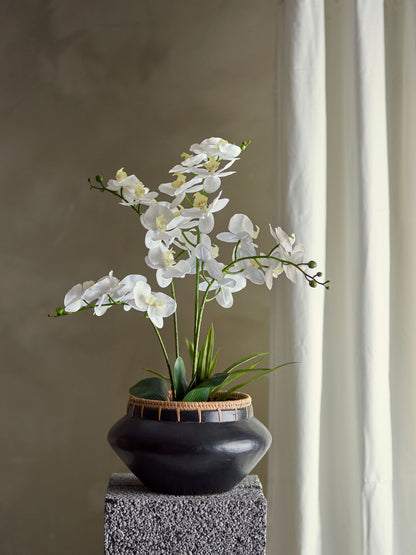 Bloomingville Orchid Pflanze, Weiß, Künstliche Blumen