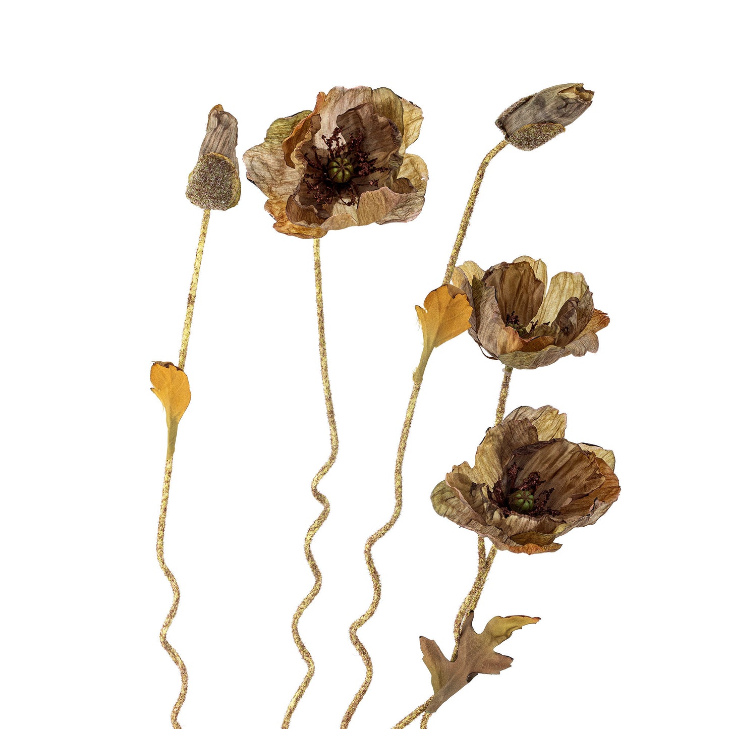 Bloomingville Poppy Stiel, Braun, Künstliche Blumen
