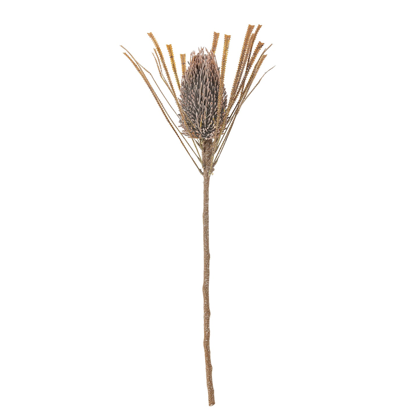 Bloomingville Palmflower Stiel, Braun, Künstliche Blumen