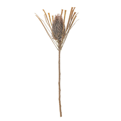 Bloomingville Palmflower Stiel, Braun, Künstliche Blumen