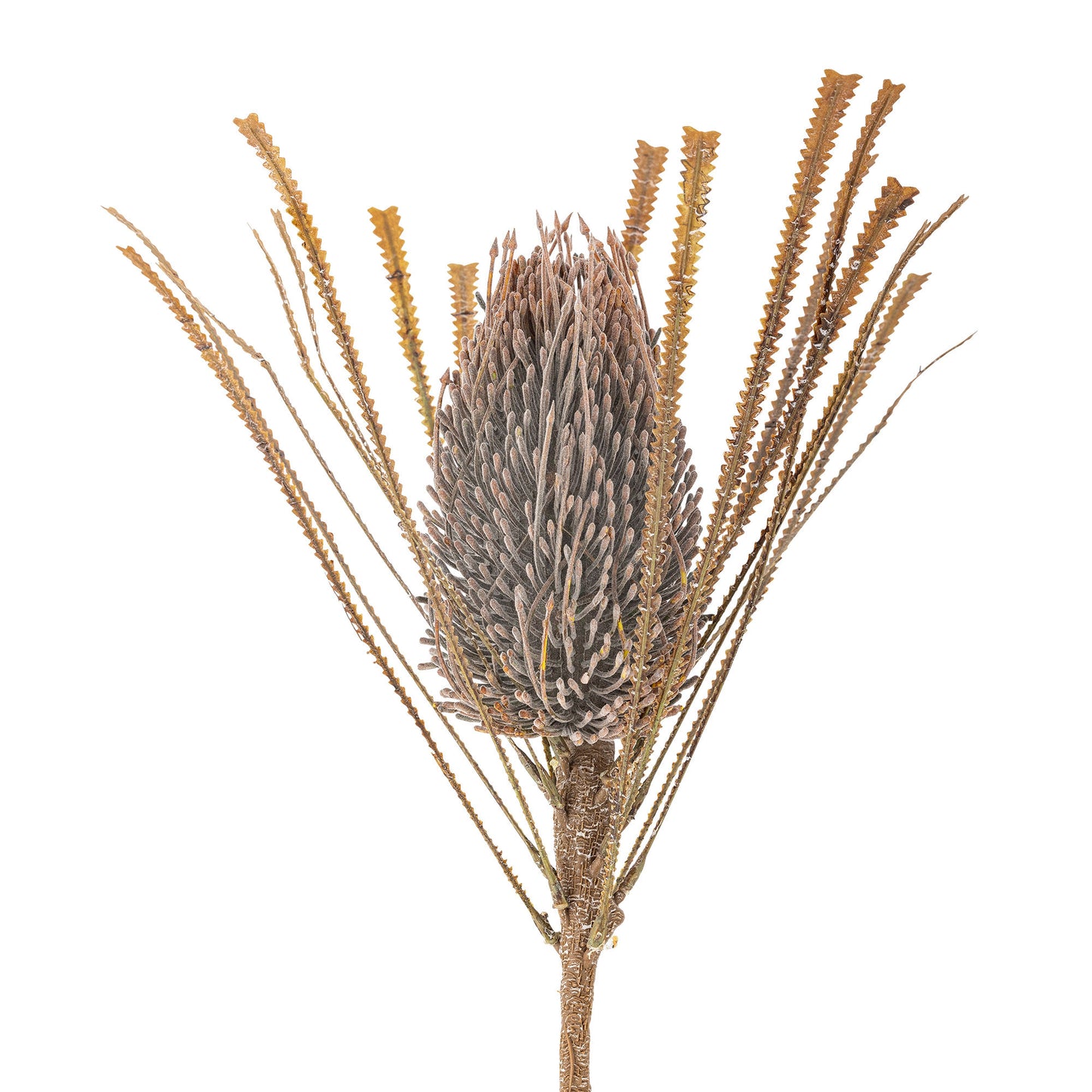 Bloomingville Palmflower Stiel, Braun, Künstliche Blumen