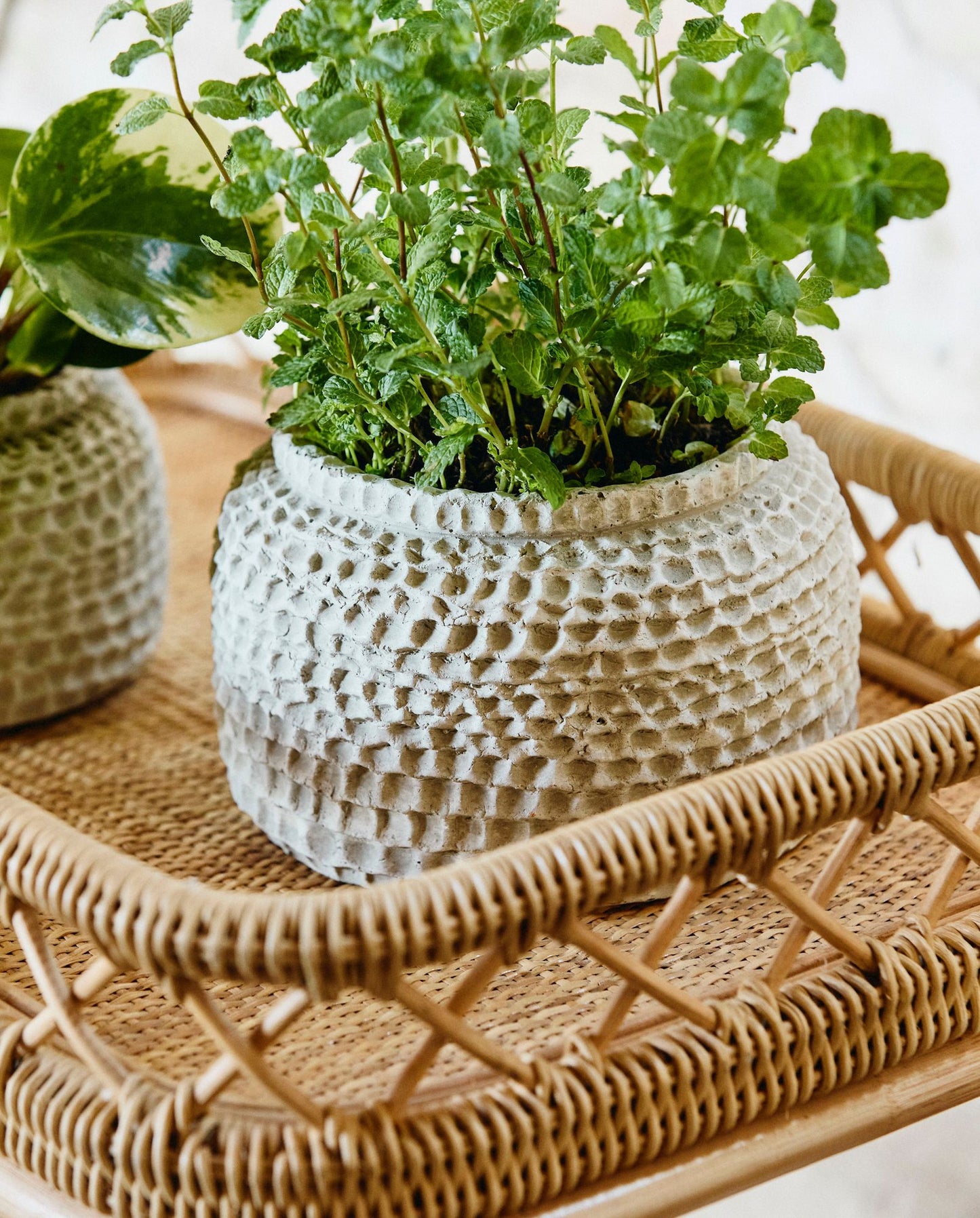 Nordal LIRI Barwagen aus - natur Rattan