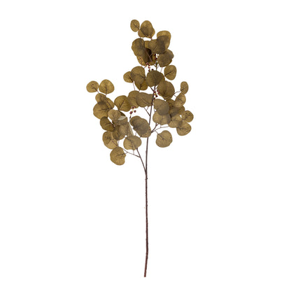 Bloomingville Eucalyptus Stiel, Braun, Künstliche Blumen