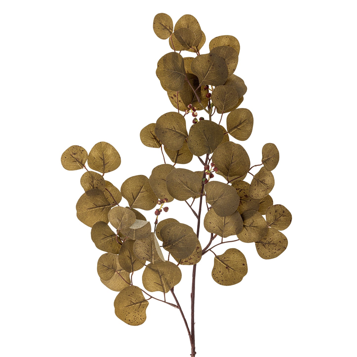 Bloomingville Eucalyptus Stiel, Braun, Künstliche Blumen