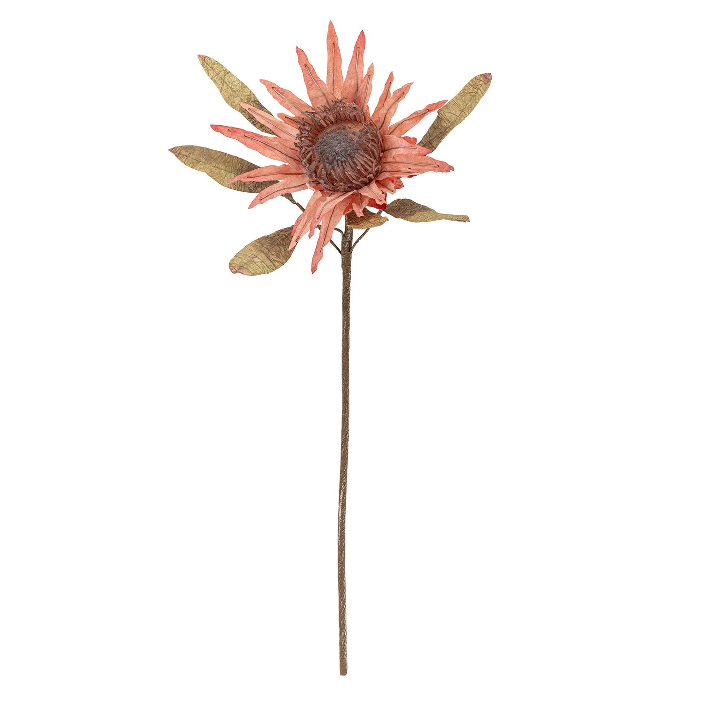 Bloomingville Protea Stiel, Rose, Künstliche Blumen