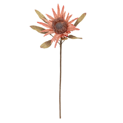 Bloomingville Protea Stiel, Rose, Künstliche Blumen