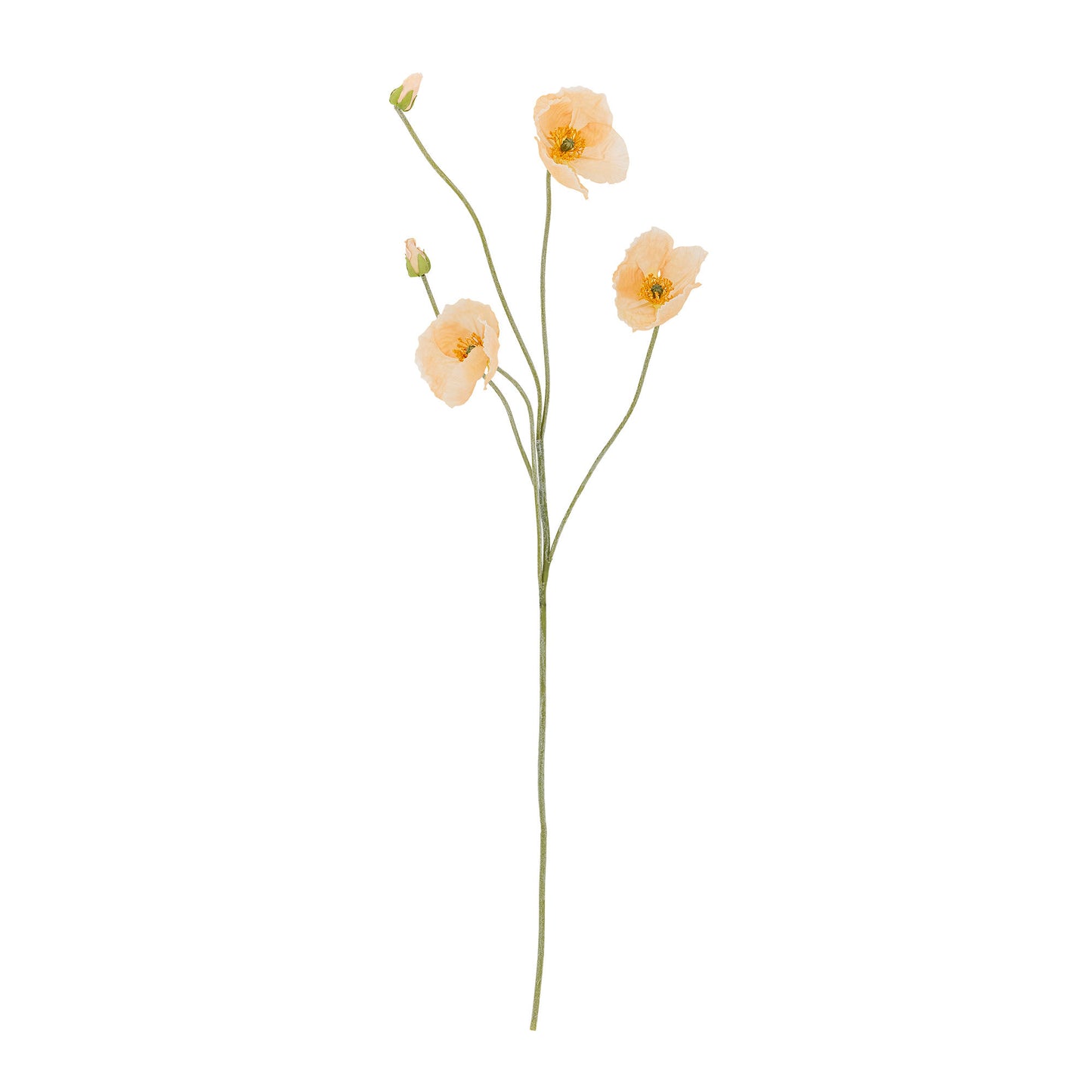 Bloomingville Poppy Stiel, Natur, Künstliche Blumen