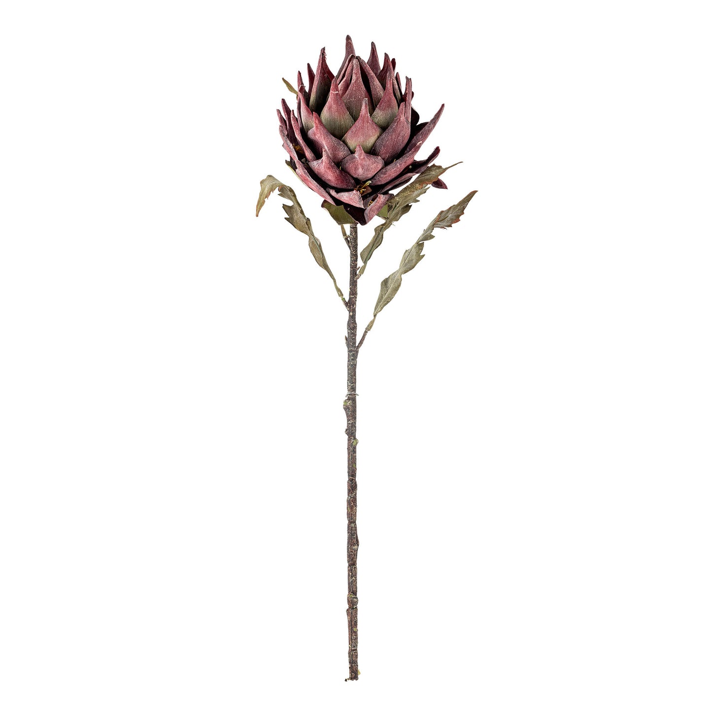 Bloomingville Protea Stiel, Violett, Künstliche Blumen