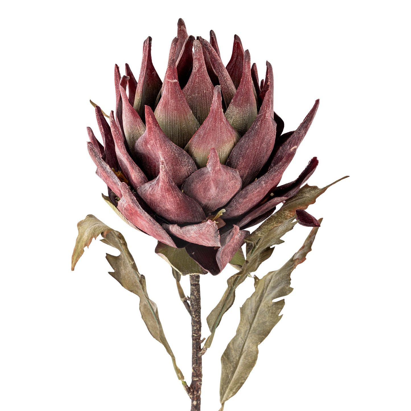 Bloomingville Protea Stiel, Violett, Künstliche Blumen