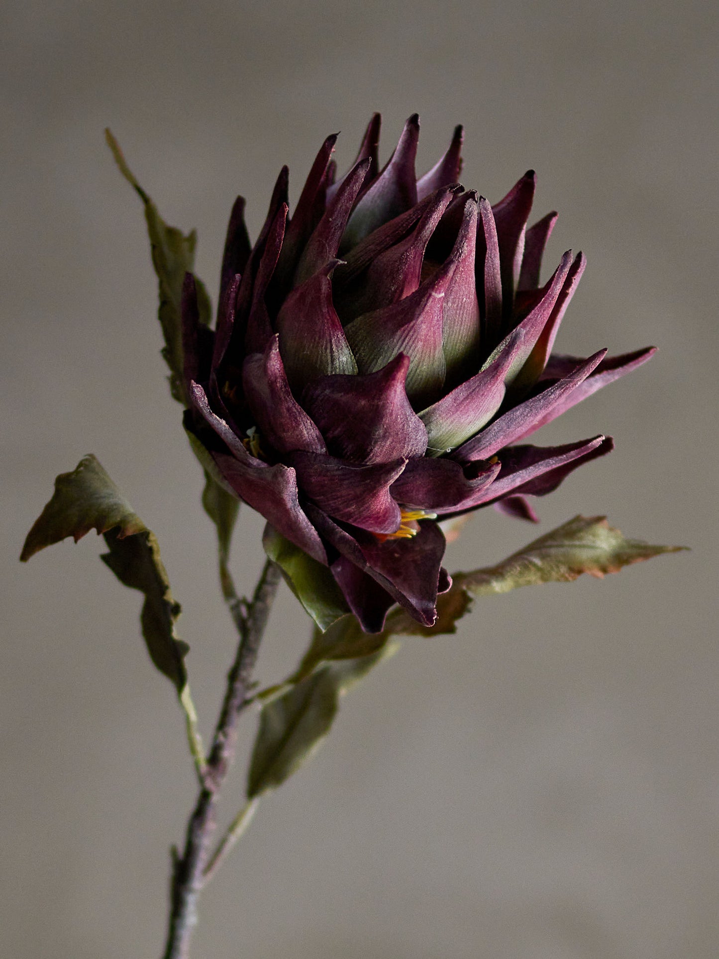 Bloomingville Protea Stiel, Violett, Künstliche Blumen